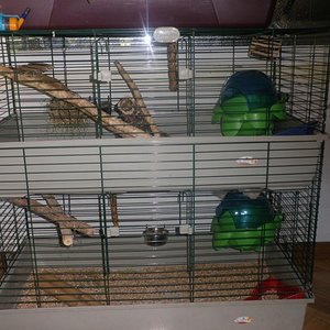 P1010047 (2) [640x480].JPG