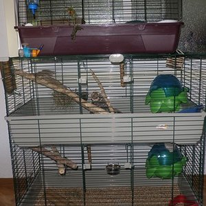 P1010050 (2) [640x480].JPG