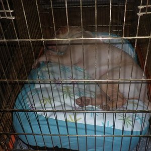 P1010001 [640x480].JPG