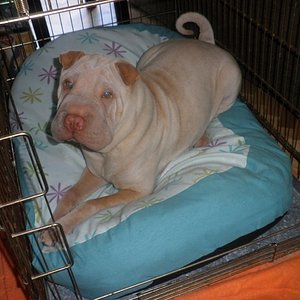 P1010005 [640x480].JPG