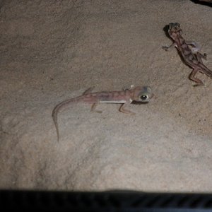 P1010001 [640x480].JPG