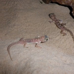 P1010002 (2) [640x480].JPG