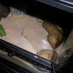 P1010004 (2) [640x480].JPG