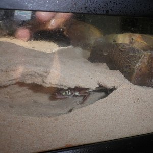 P1010023 (2) [640x480].JPG