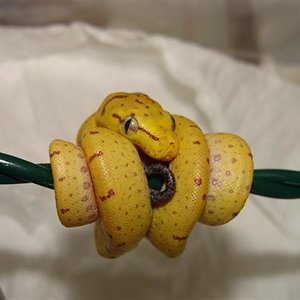 DSC02847 (Small).JPG