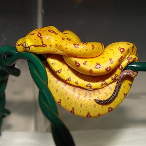 DSC02850 (Small).JPG