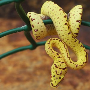 mv8-11a [1600x1200].JPG