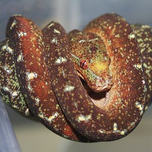 IMG_4915 [1600x1200].JPG