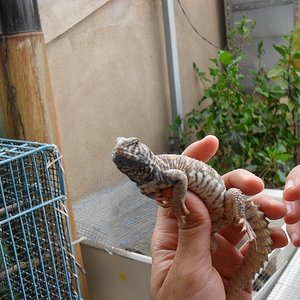 SDC10229 - copia (640x480).jpg