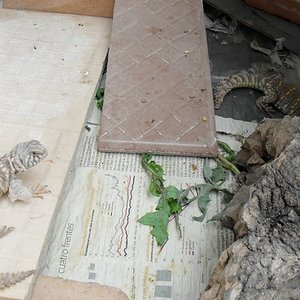 SDC10230 (640x480).jpg