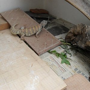 SDC10231 (640x480).jpg