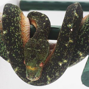 IMG_5047 [1600x1200].JPG