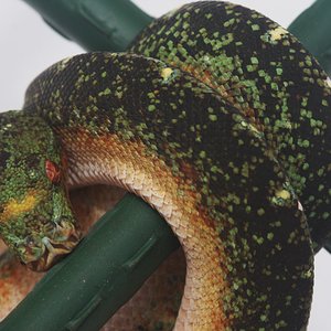 IMG_5056 [1600x1200].JPG