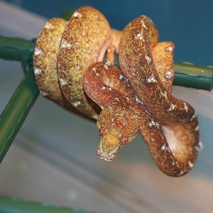 7 diez meses y seis dias.JPG