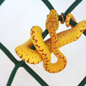 1 un dia de vida.JPG