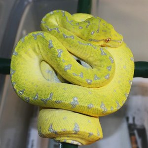 4 diez meses y veinte dias.JPG