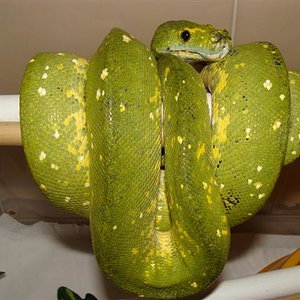 DSC02857 (Small).JPG