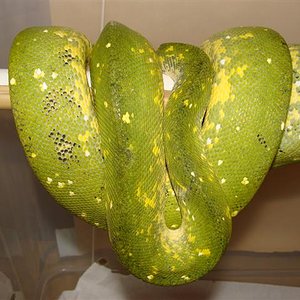 DSC02870 (Small).JPG