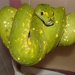 DSC02920 (Small).JPG