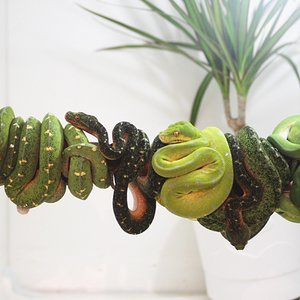 grupo crias 2010 [1600x1200].JPG