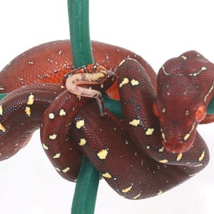 1 un dia de vida.JPG