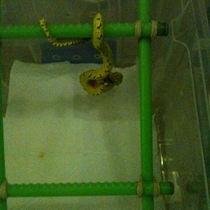 Primera comidamin.jpg