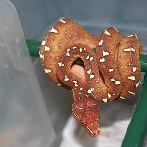 8 seis meses y veintitres dias .JPG