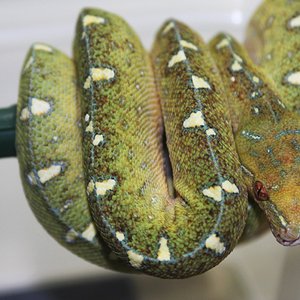 18 once meses y diecisitiete dias .JPG