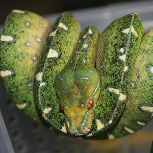 19 once meses y veintitres dias.JPG