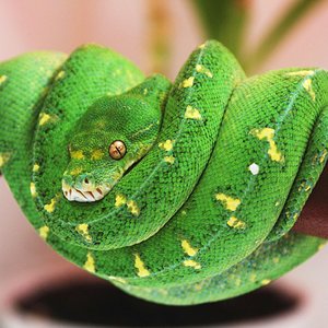 22 un año y dos meses.JPG