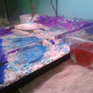 598896 10201565067880329 1458029445 n