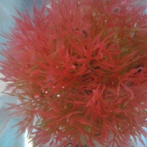 1374902 10201565384968256 1303342723 n