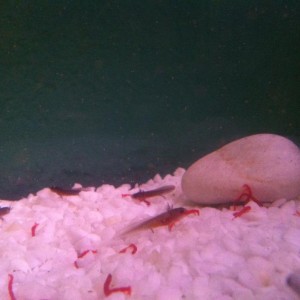 154423 10201103859670412 2006760488 n