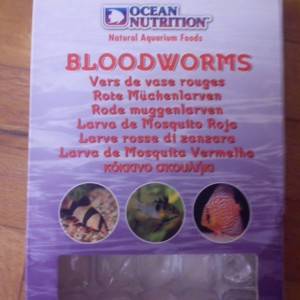 1376371 10201565117921580 108573597 n