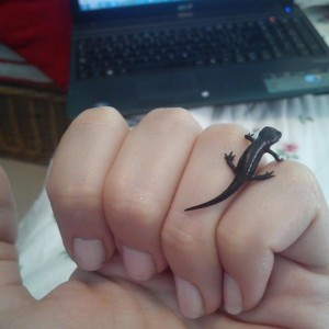 11201 10201565090760901 72930954 n