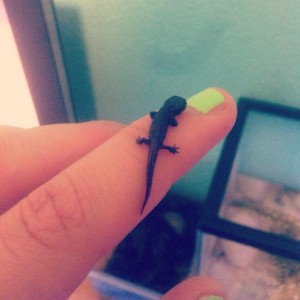 945831 138857622991255 1012049489 n