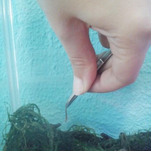 1239545 10201565122601697 352642872 n