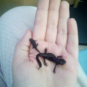 1239502 10201565026039283 752523345 n