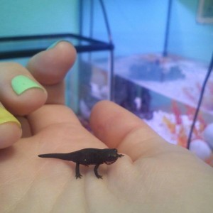 1375816 10201572528026828 1911921635 n