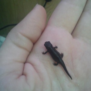 1381453 10201572528786847 1635225058 n