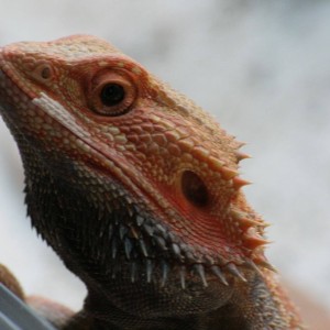 1277573 588377641221112 1604682175 o[1]