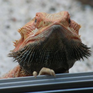 1273124 588377741221102 49802273 o[1]