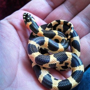 1385253 749259931757148 60700187 n