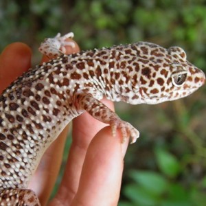 1234322 1396608377234020 1402684395 n