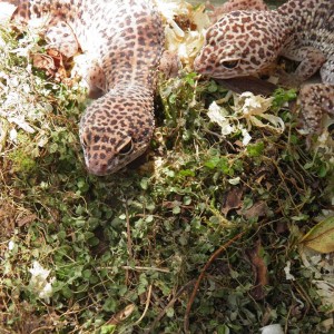 1170707 1396624573899067 277568850 n