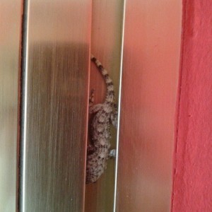 1463618 10202032178542339 797673478 n