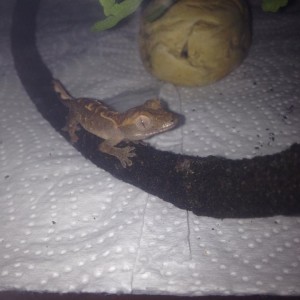 1465167 10201463212839592 592701443 n