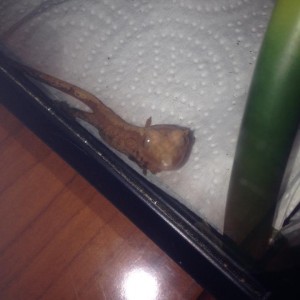 1452220 10201463212959595 570724432 n