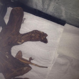 1475830 10201463086356430 1502086571 n