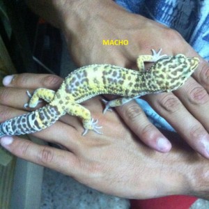 1473709 181650472028268 1665295212 n